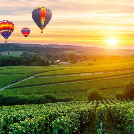 アパート Le Cosy - 2 - Centre